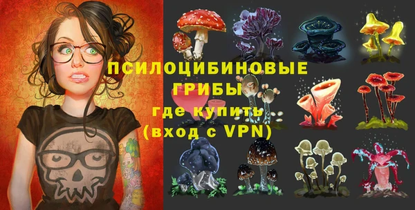 шишки Абдулино
