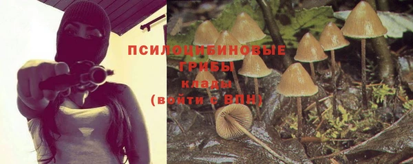 шишки Абдулино