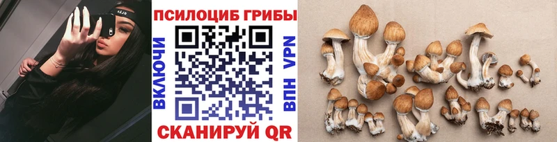shop состав  дарнет шоп  Александровск-Сахалинский  Псилоцибиновые грибы прущие грибы 